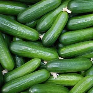  Свежий огурец из