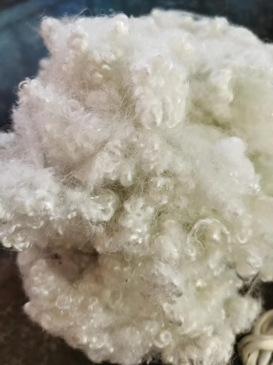 
Recycled polyester staple fiber 15DX64mm hollow conjugated siliconized&Non-siliconized HCS&HC 