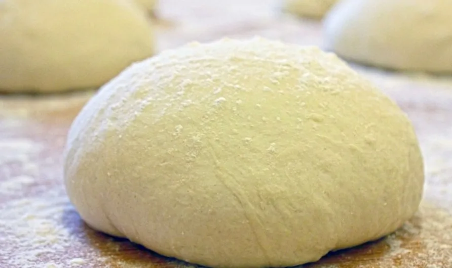 Top Italian Wheat Flour Type 00 for Pizza to Restaurant Catering Hotel Wholesale Retail Horeca