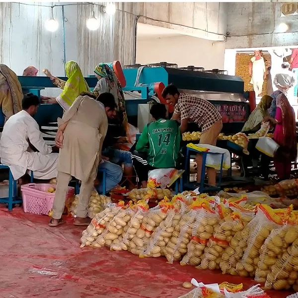 Свежий картофельный завод в Пакистане