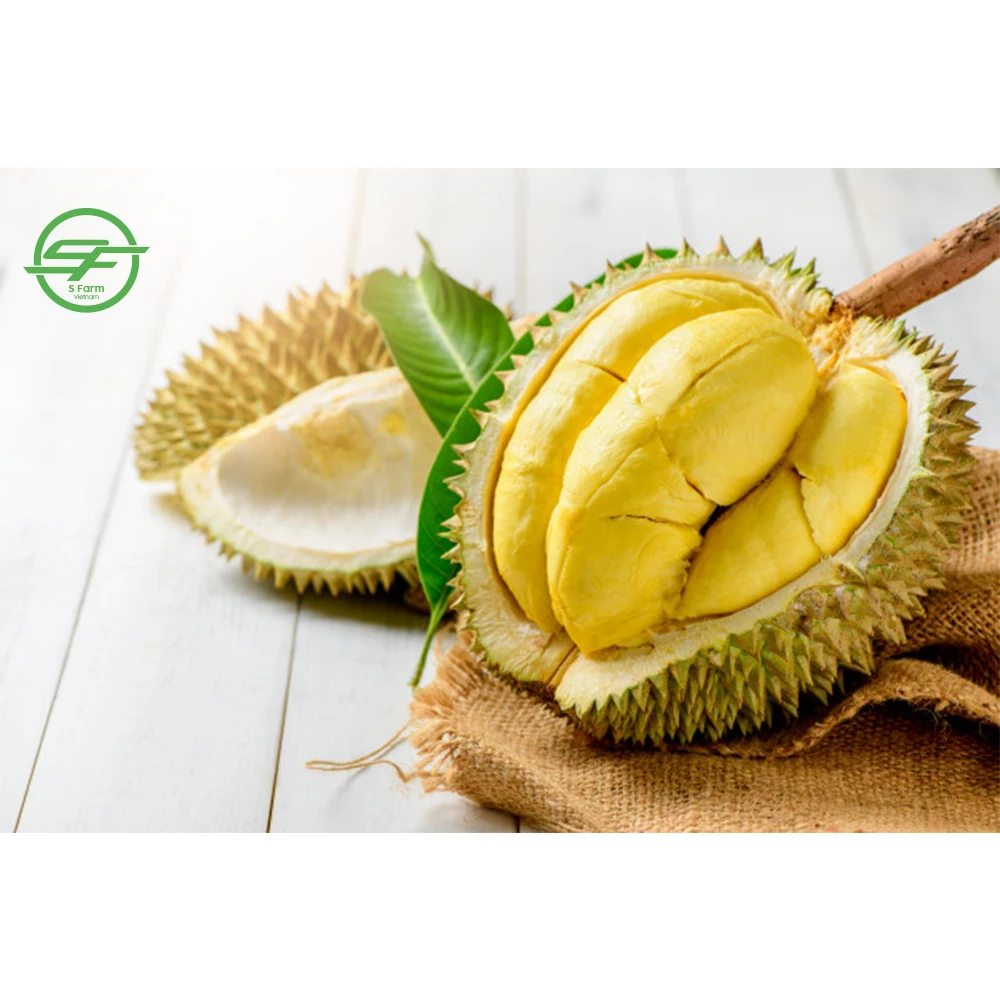 Fresh Durian Vietnam Product Most Delicious Durian (Whatsapp/zalo/wechat: +84 912 964 858)
