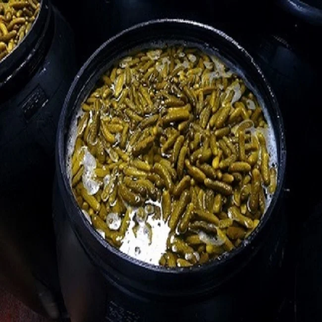 100% Natural  Cucumber/Gherkins/Cornichons/ Preserved in Acetic Acid in Barrels/Bucket/Pails -FSSC22000 V5 standards