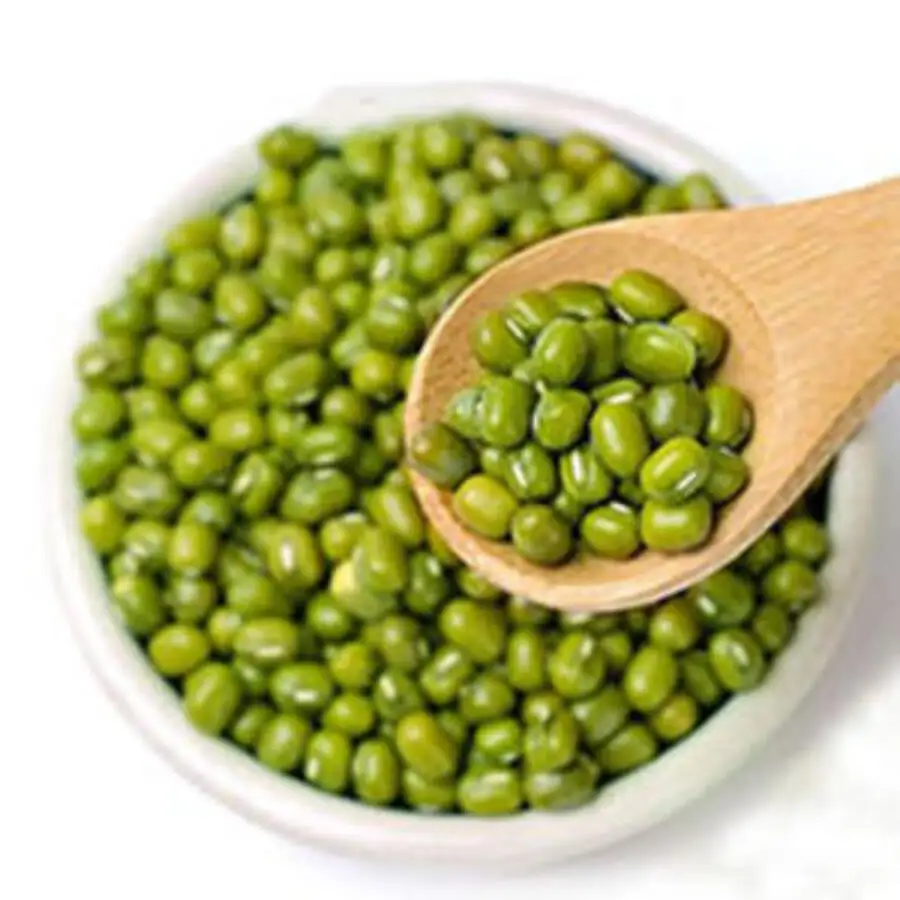 Promotional Various Good Quality Indonesia Mung Bean Green Beans