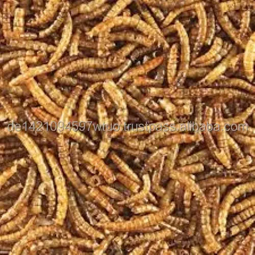 Натуральные Сушеные черви Mealworm специально для ваших домашних