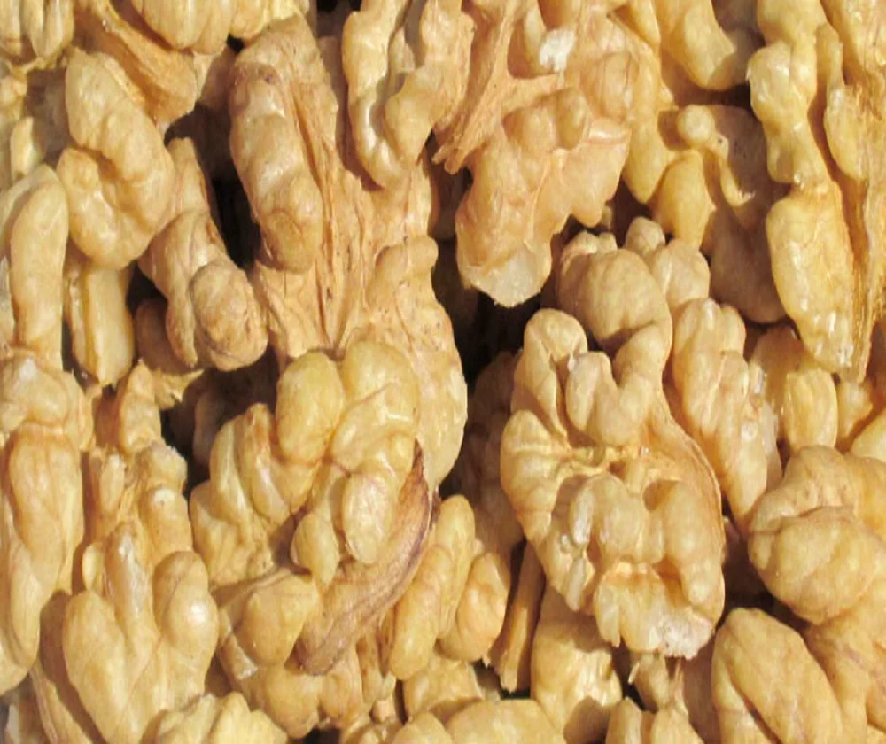 RAW/FRIED/BAKED/ROASTED WALNUT KERNELS
