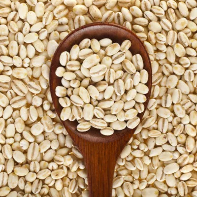 Best quality grade malt and feed barley grains low price