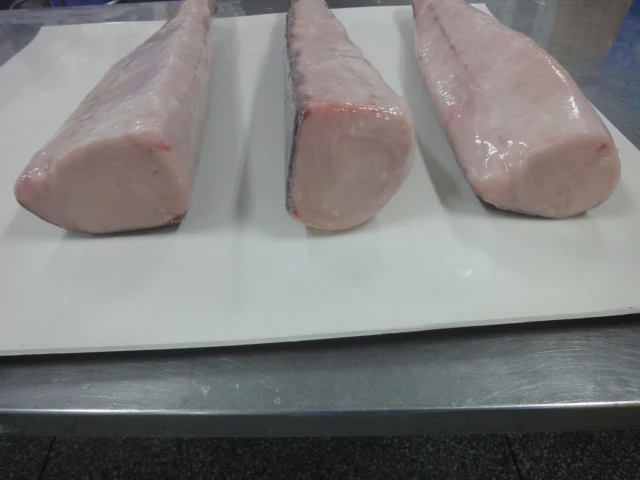 High Quality  Frozen  Oilfish Fillet /  Oilfish HGT(Lepidocybium Flavobrunneum)