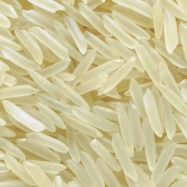 1121 Sella Basmati Rice in 25kg Bag