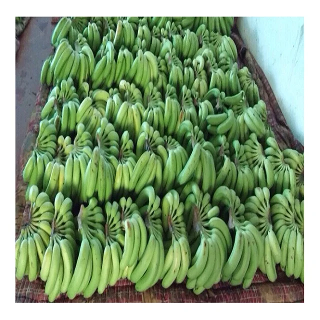 Новейший Урожай Cavendish Banana-высококачественный банан из Вьетнама-оптовая продажа для Banana GLOBAL