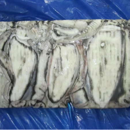 
Cuttlefish whole 1kg-2kg up 