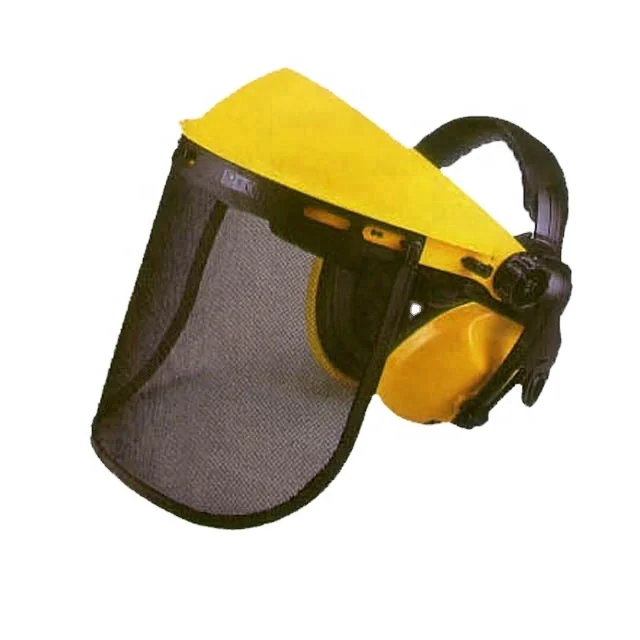 Mesh Face Shield