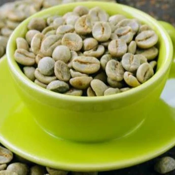  Вьетнамские зеленые кофейные зерна robusta-напиток для похудения-Whatsapp: +