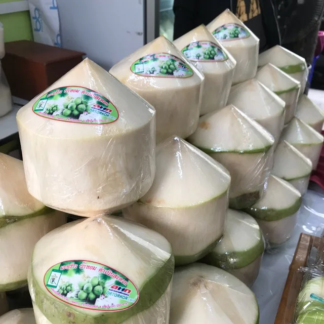 
FRESH YOUNG COCONUT with BEST PRICE AND QUALITY 