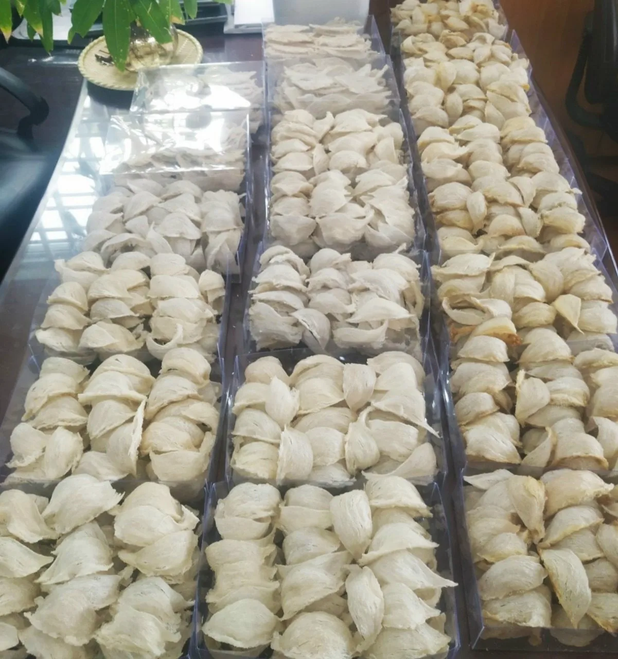 
Vietnam Best Supplier Dry Bird Nest Low-fat Protein for Export 