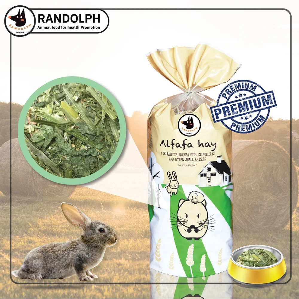 Alfalfa Hay Premium Second Cut High Protein For Small Animals Product from Thailand
