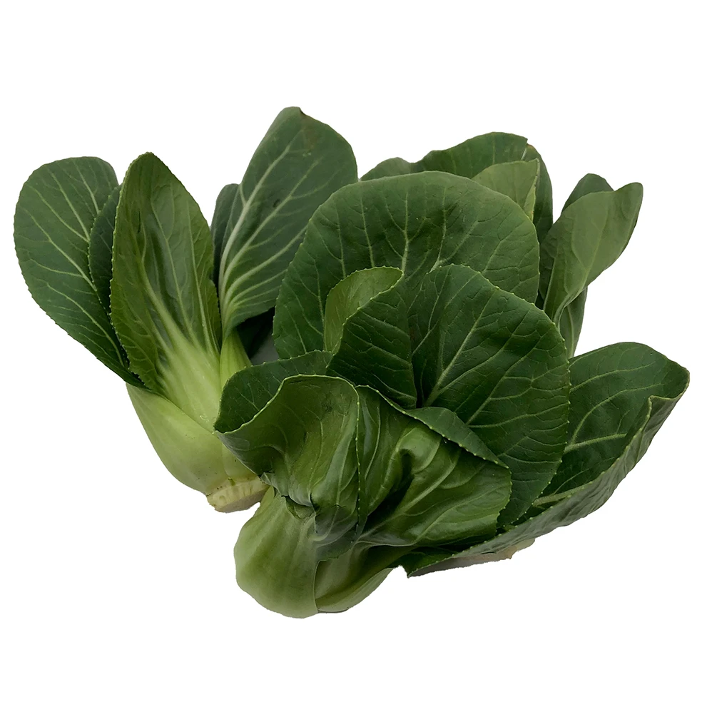 Imported Quality Super Fresh 80 percent maturity Pak Choi Other Fresh Vegetables Price Box Packing Top Grade Selecting