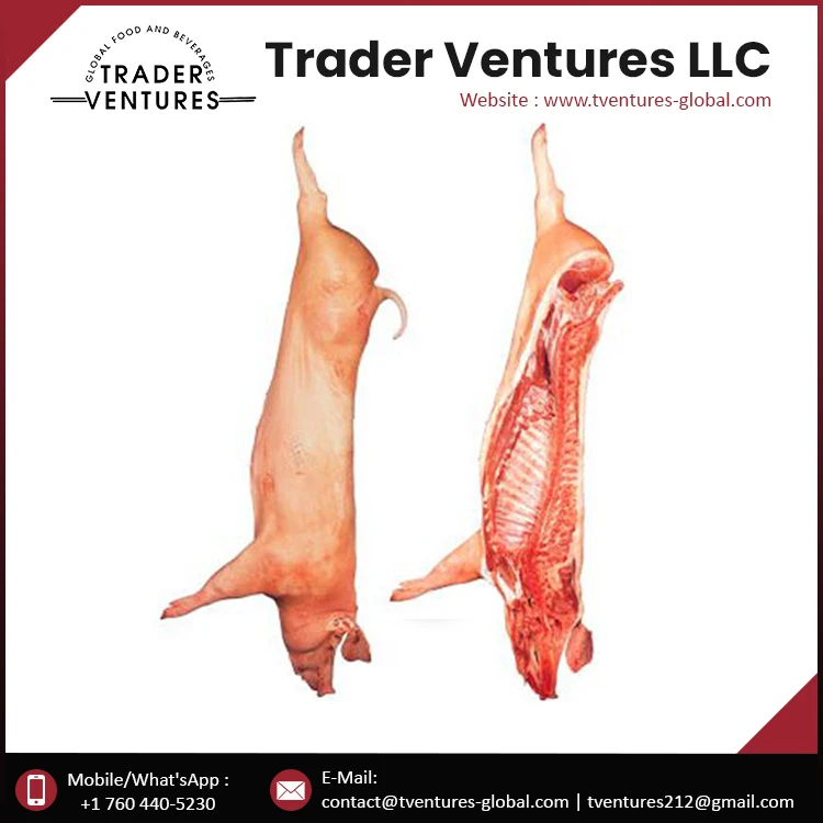 
High Quality Pork Carcass 2-Way Cut Supplier and Exporter 