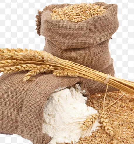 Ukraine organic natural grain wheat.