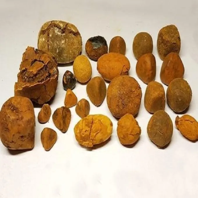 Ox Gallstones 3.jpg