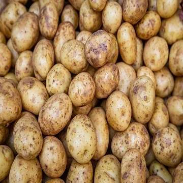  Новинка 2019 стиль время глобальный органический зазор вес оригинальный тип Шаньдун форма размер картофеля год поставки продукт свежее место модель