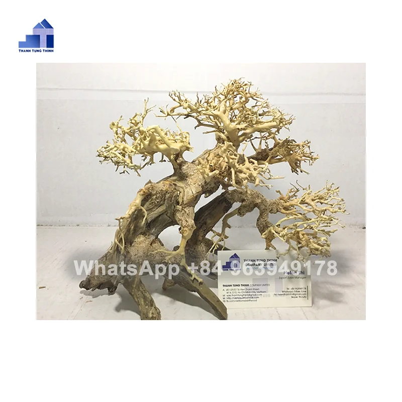 2024 Hot Sale Bonsai Driftwood for Aquarium accessories landscaping fish tank filter WhatsApp +84 963949178
