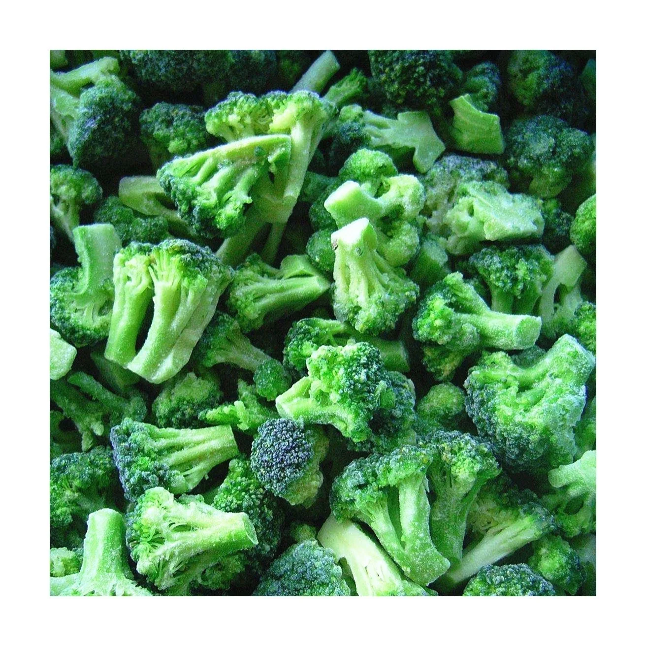 
IQF Frozen Fresh Broccoli And Frozen Vegetables 