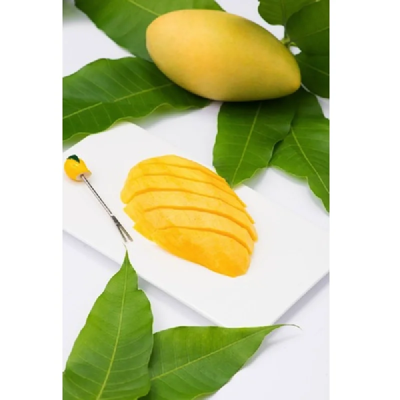 High Grade Vietnam Agriculture Product Fresh Fruits Green Color Oval Shape Mango Export From Vietnam
