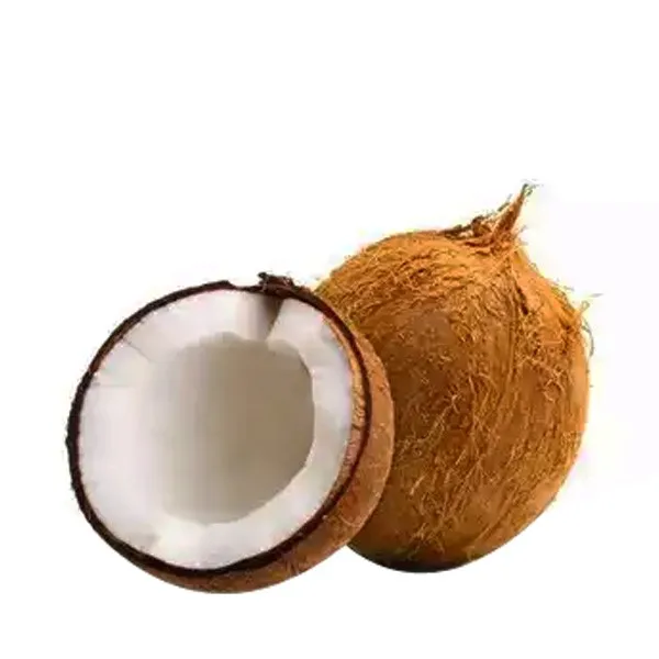 Organic Natural Coconut Dry Fruit Bulk Wholesale Fresh Mature Coconut Crop Sweet Water Semi Husked Coconut From Bangladesh