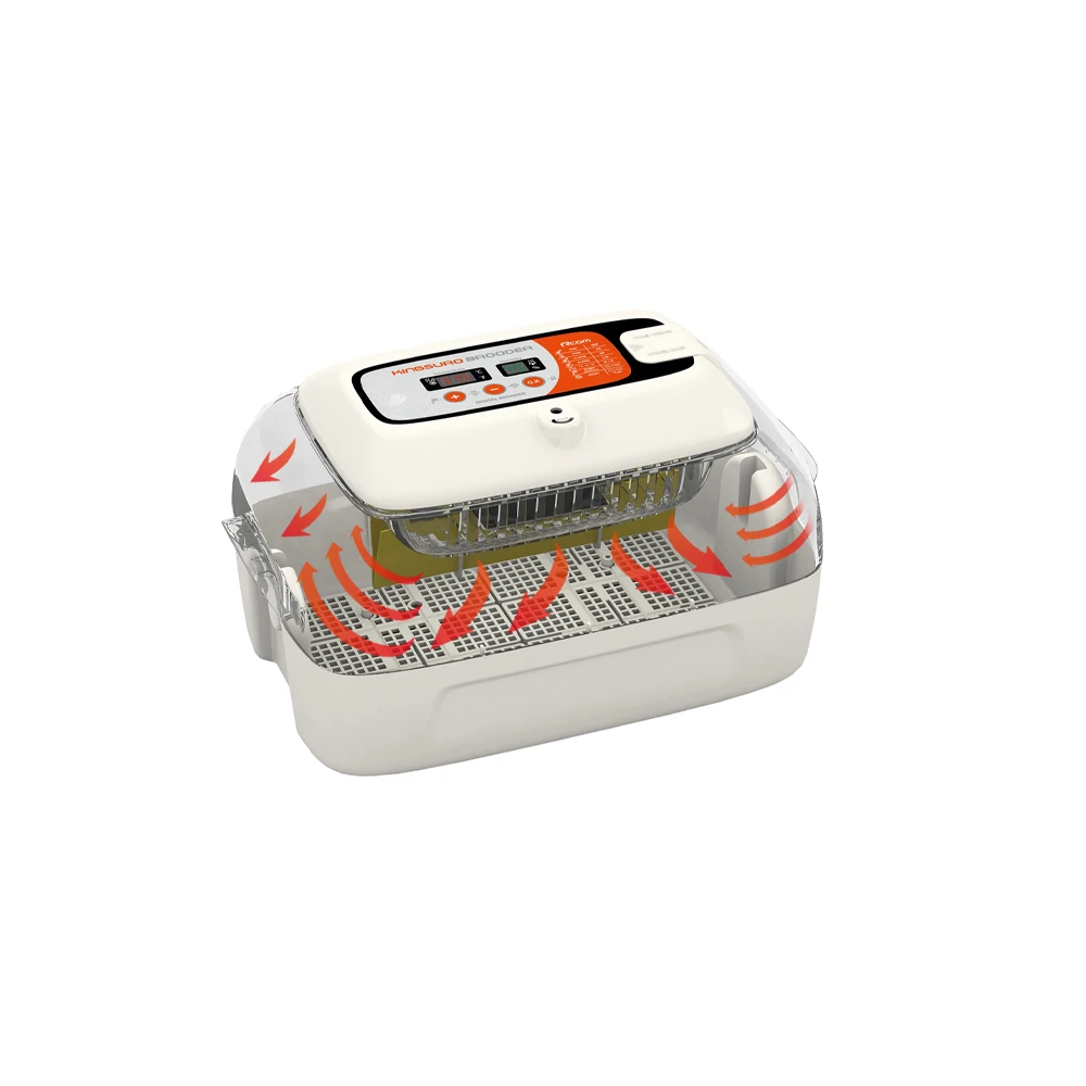 High-reliability Automatic Temperature Control Function Chicken Brooder Rcom KINGSURO MAX BROODER
