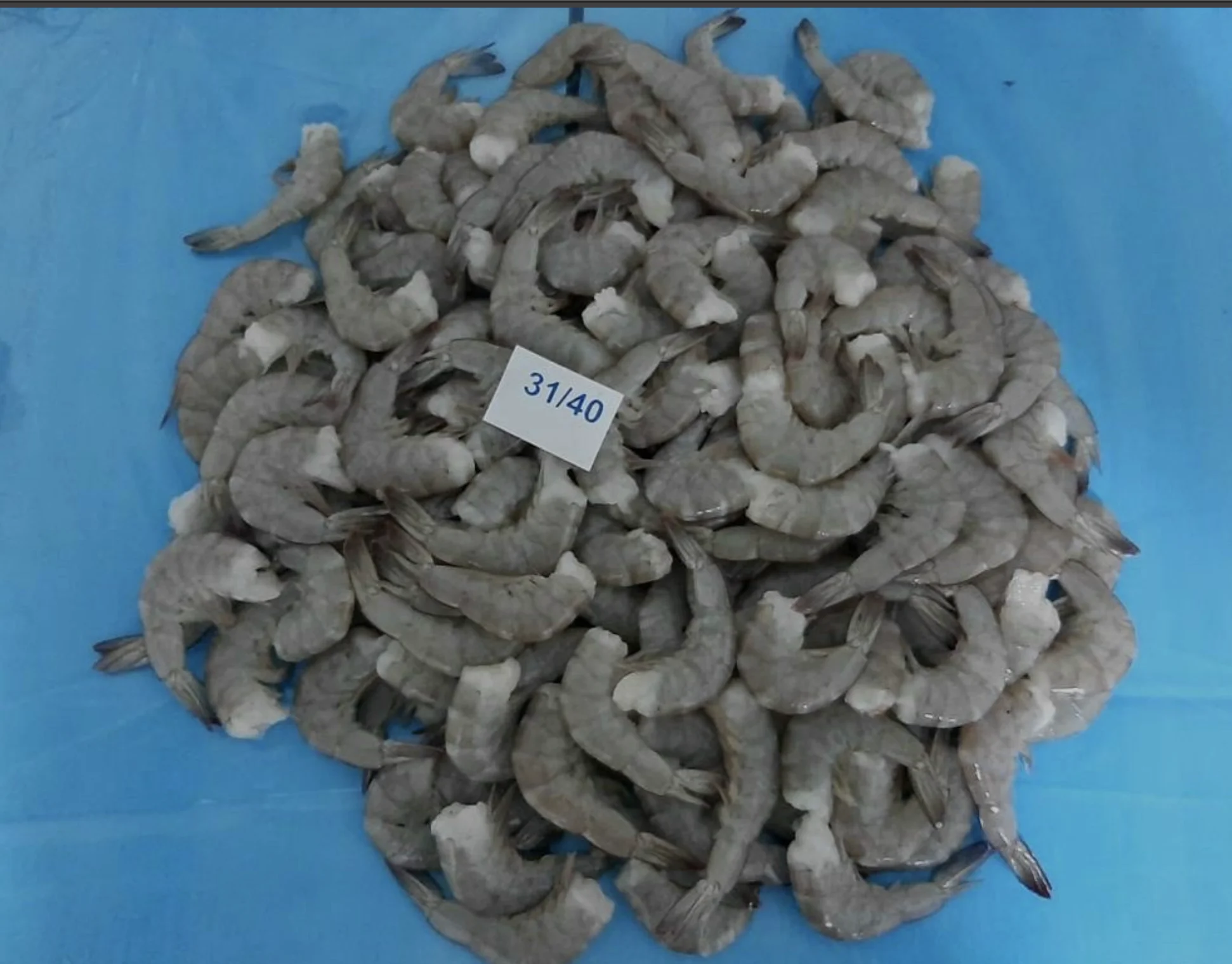 Top quality Vannamei Shrimp HLSO, Headless, Shell On Cheap Frozen Seafood made in Vietnam Shrimp on sale