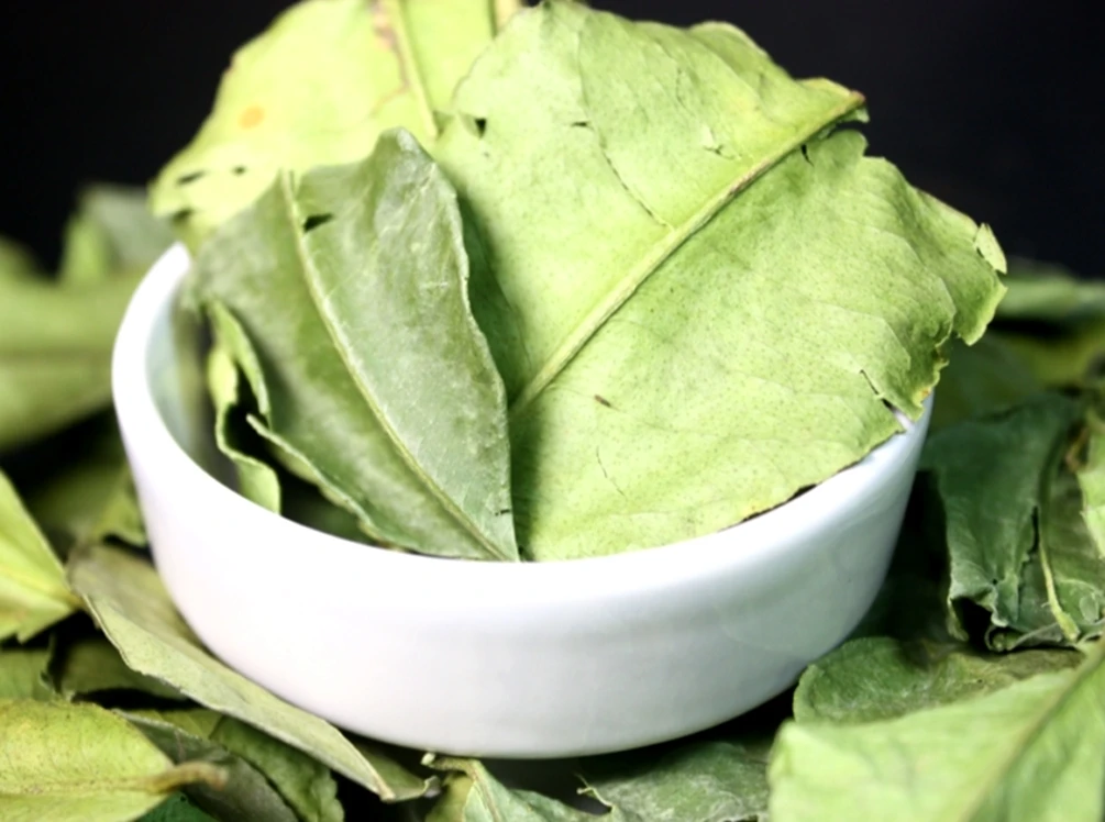 100% Kaffir Lime Leave Powder Premium Gourmet Ingredient for Thai Asian Cuisine Rich Green Color and Extremely Aromatic Premium