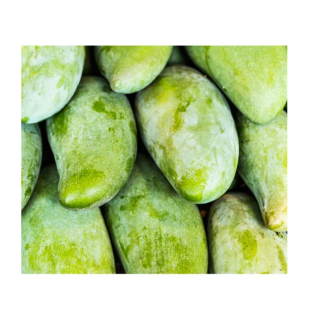 
Organic Pakistani Fresh Green Mangoes In Wholesale Price 