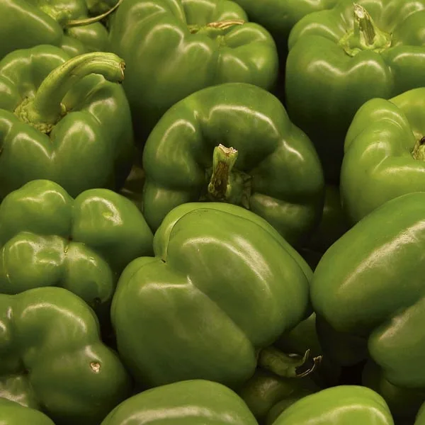 Wholesale Price Fresh Capcicum Best Quality Capsicum ( bell pepper ) Fresh Vegetables Exporter from India.