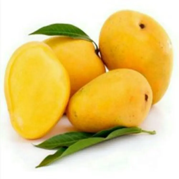 Fresh Organic Mangoes