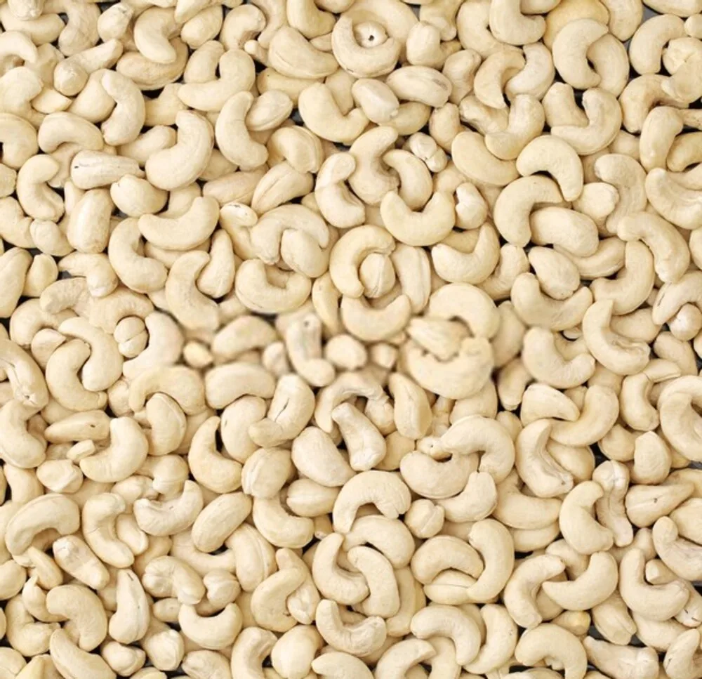 High Quality Cashew Nuts Cashew W180- W240- W320- W450 Cashew without shell, new season Vietnam