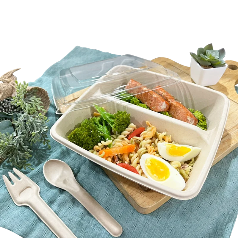 Food Delivery Disposable Lunch Box Takeaway Food Container