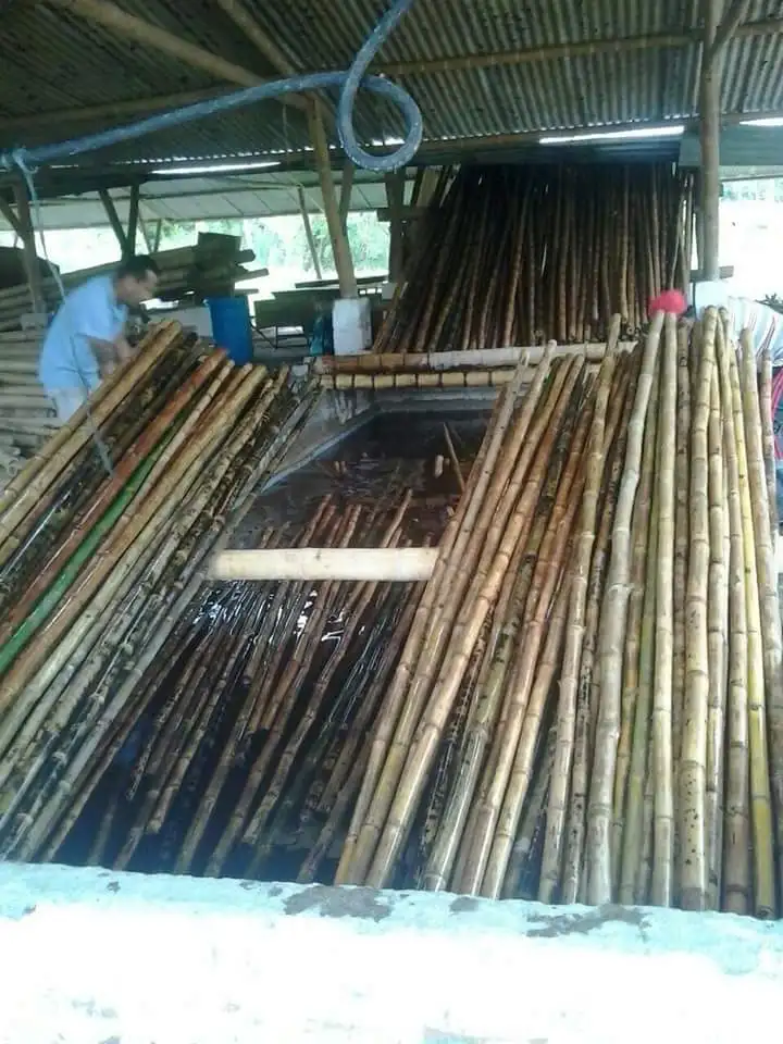 Eco-friendly Solid Bamboo Pole For Construction And Gardening From Vietnam