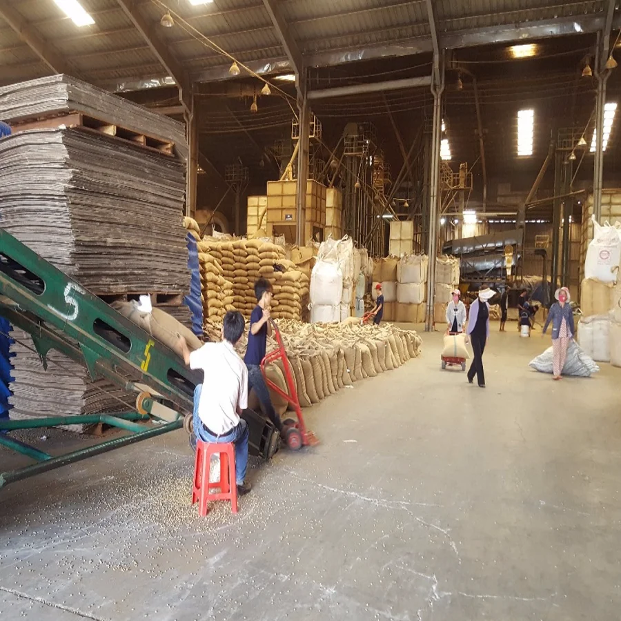  Вьетнамский КОФЕ robusta S18 WP кофейные зерна лидер продаж