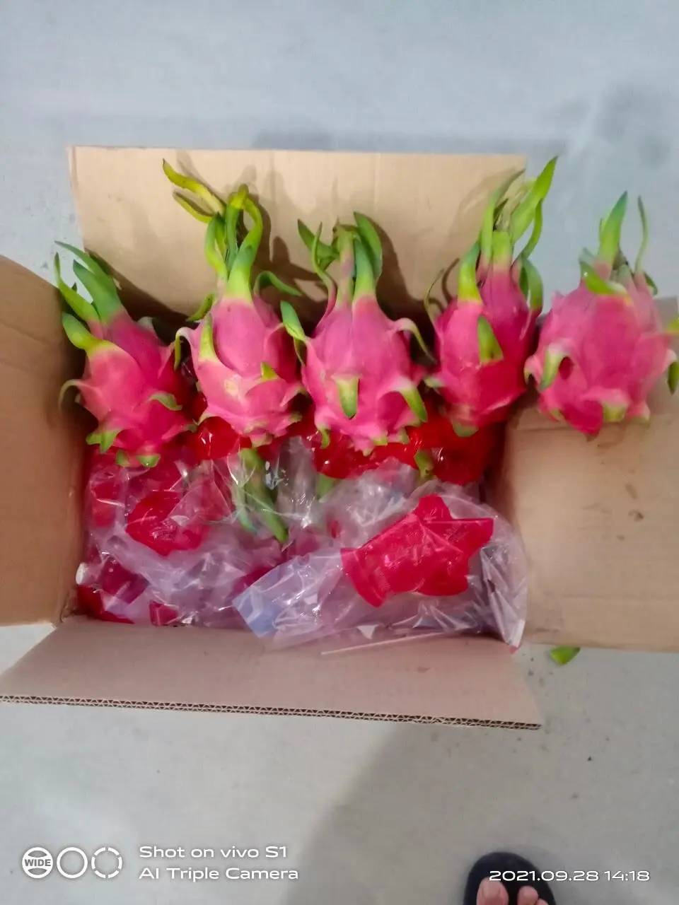 HOT SELLERS - Fresh Dragon Fruit from Vietnam - Best price - High quality