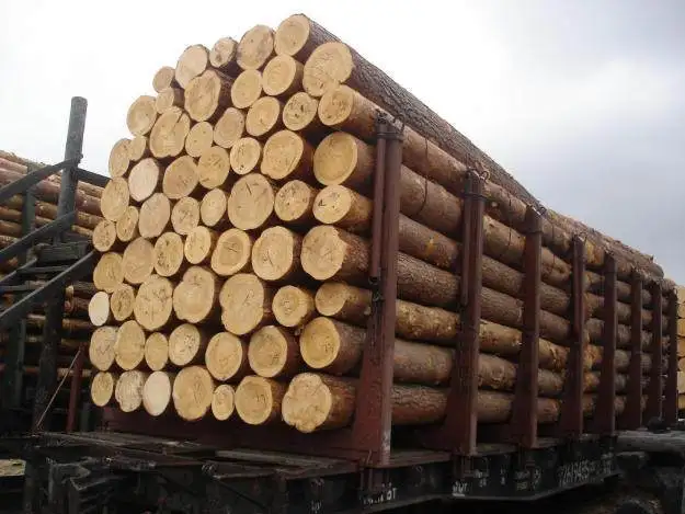 Raw  cut Beech Logs , Cherry Logs, Birch Logs for sale/western red cedar logs for sale