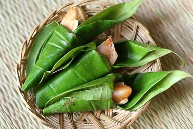 FRESH BETEL LEAVES EXPORTING IN BULK  -  TERESA +84971482716