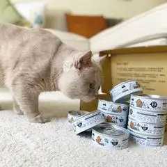 Delicious wet cat food meow-servant grain-free wet cat food