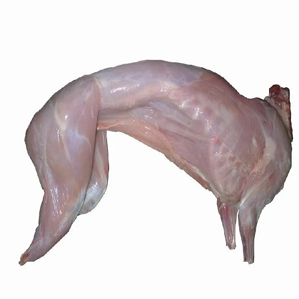 1 (1).jpeg
