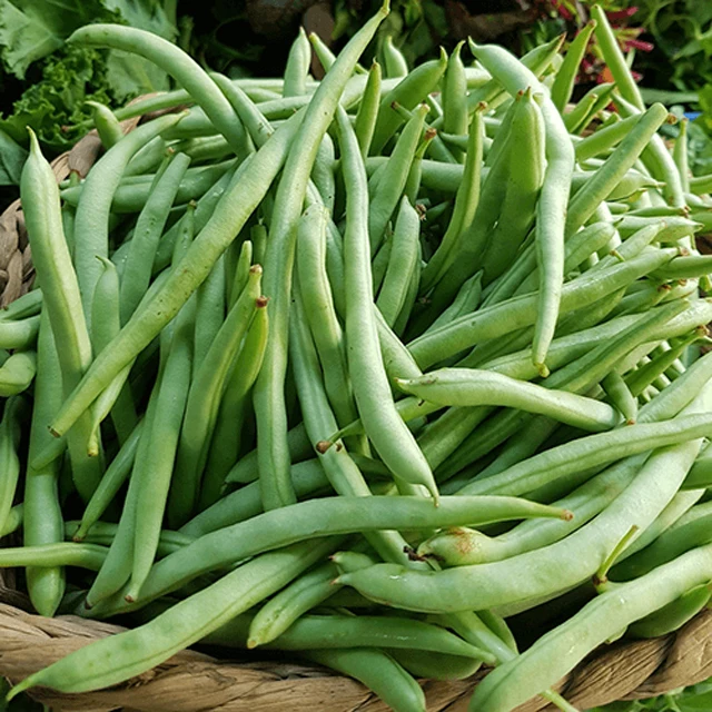 Fresh Super Delicious Taste Premium Quality Runner Bean - Whole Fruit Export