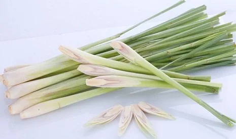 LEMONGRASS From Vietnam with Frozen Vegetables Good Price- LINDA Whatsapp 0084 989 322