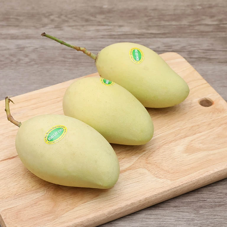 Cat Chu Mango Fresh Fruit Best Price For Export Low MOQ Top Quality Brand Manufacturer Supplier Custom Logo Package