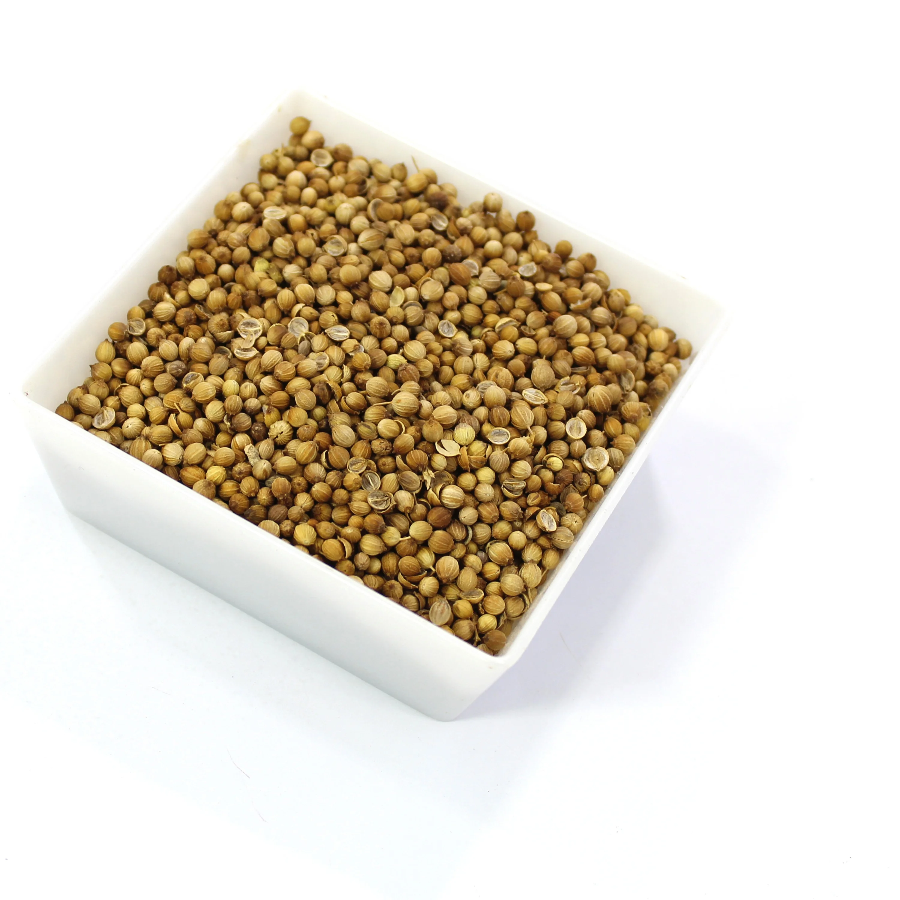
(SPICES LAND for EXPORT) Coriander Seed for - BEST QUALITY, BEST PRICES AD Single Herbs & Spices Dried Raw Granule BRC ISO 
