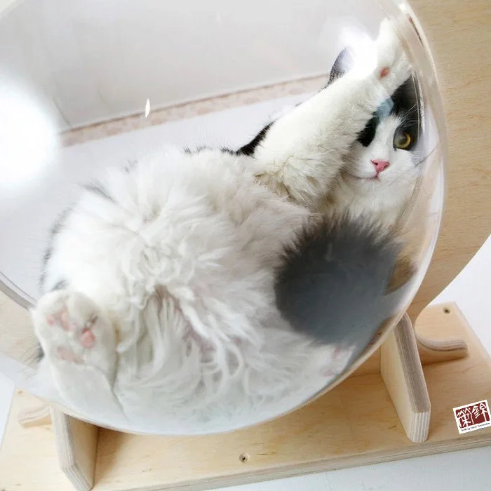 Настенный Прозрачный шезлонг для кошек «Toumey»