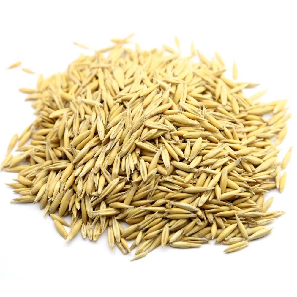 High quality oats grain for sale from manufacturer custom package design available, wholesale prices