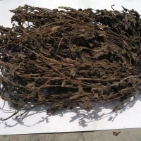 
Dried black jelly leaf for processing high quality 
